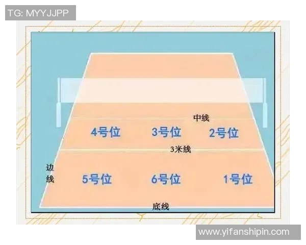 重庆排球队的节奏解析与排球热点的深度剖析