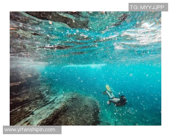 世界泳坛新纪元：科技助力创新与突破，泳者极限挑战再上新台阶